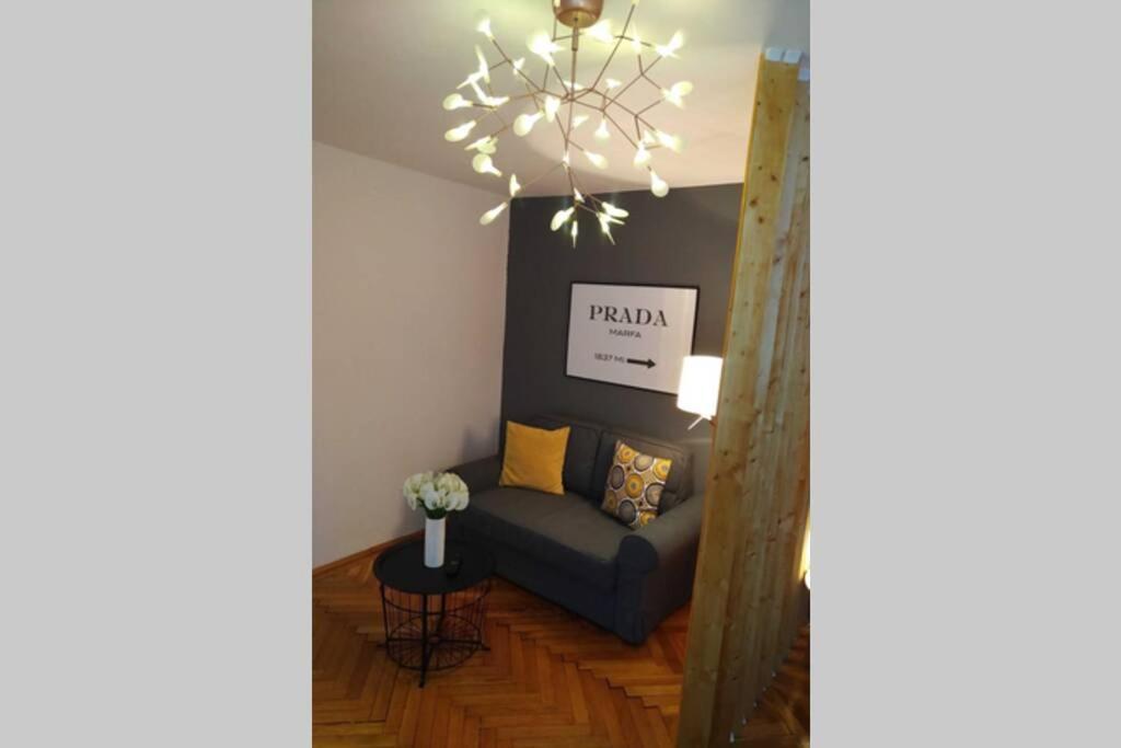 Art & Design Apt - City Center Timişoara Extérieur photo