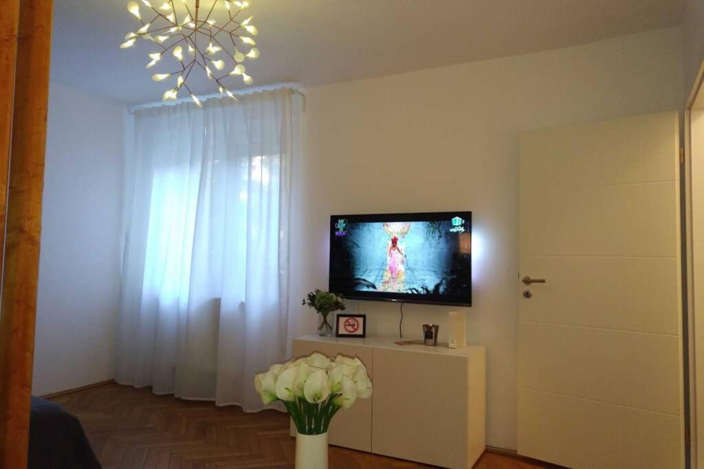 Art & Design Apt - City Center Timişoara Extérieur photo