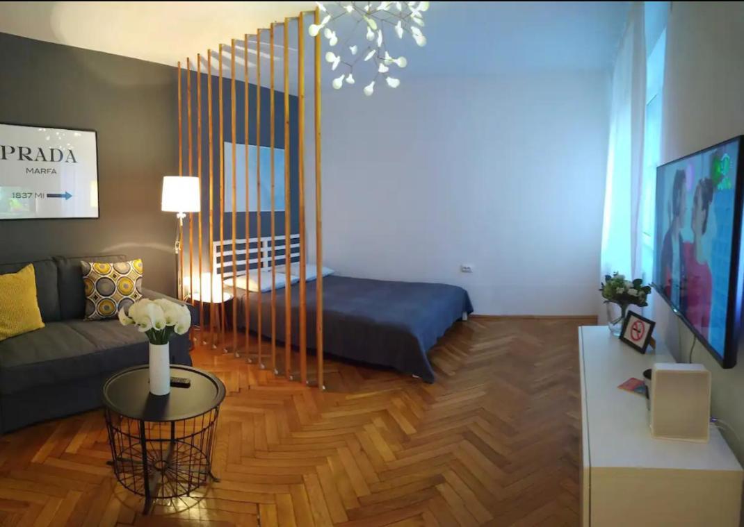 Art & Design Apt - City Center Timişoara Extérieur photo